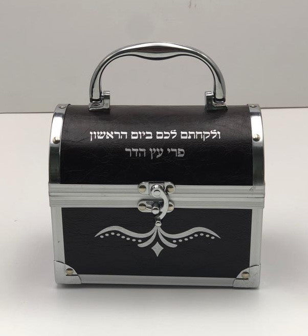 Hard Treasure Chest Esrog Box-- Leather Look (ES-12139)