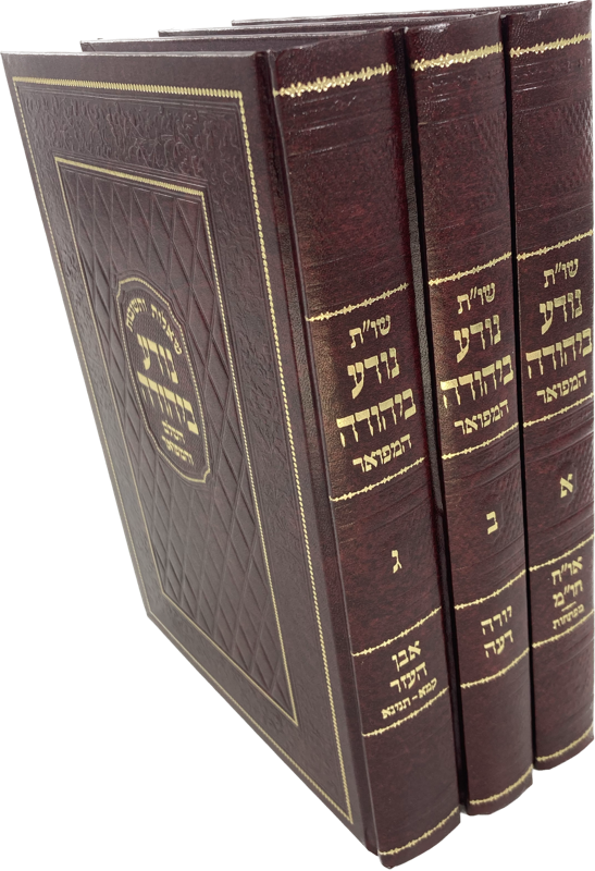 שו"ת נודע ביהודה המפואר 3 כרכים  (BK-NBY3)