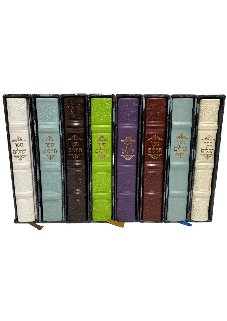 תהילים דמוי עור Tehillim Colored Cover p/u in slipcase (BK-THPU)