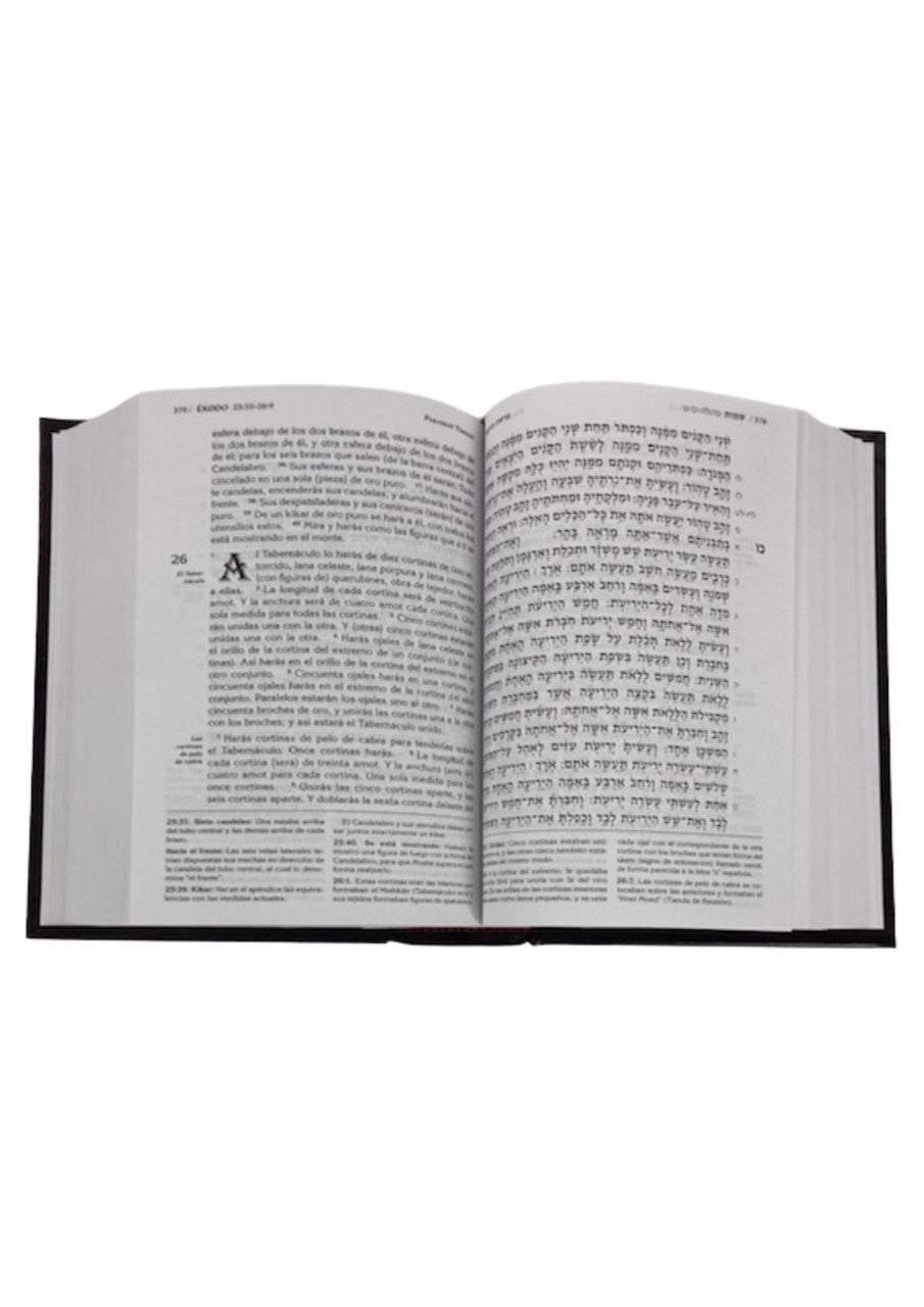 La Tora Con Haftarot Pentateuco Hebrew / Spanish Small 5"X7" (BKS-LTCHS)