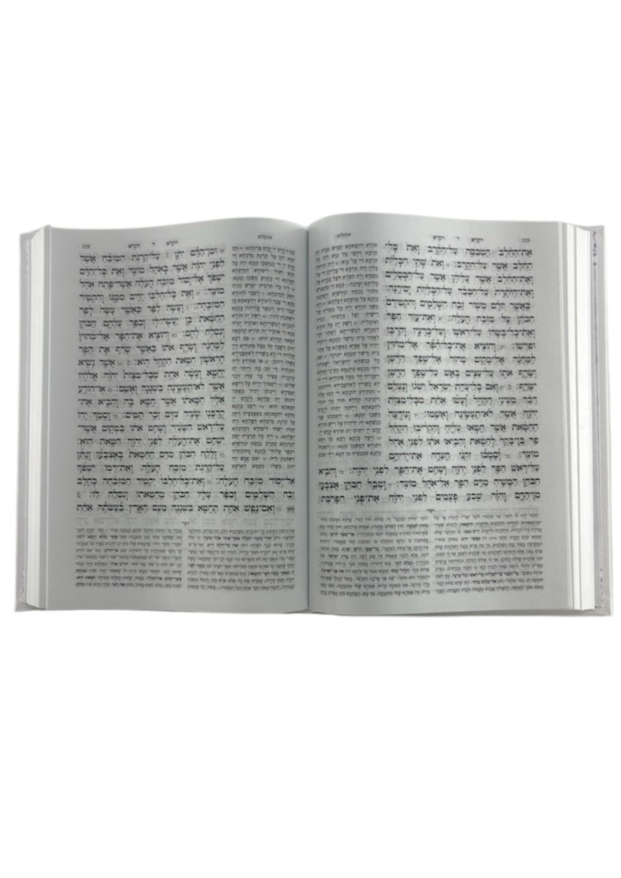 חמשה חומשי תורה עבודת השם Rashi Menukad 1 Vol. (BK-CCTAH)
