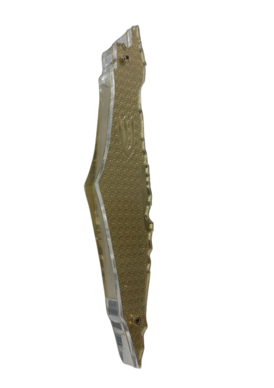 Isreal Shaped Lucite Mezuzah Case 8" Case (Fits 12cm Scroll) (MZ-OJ5357)
