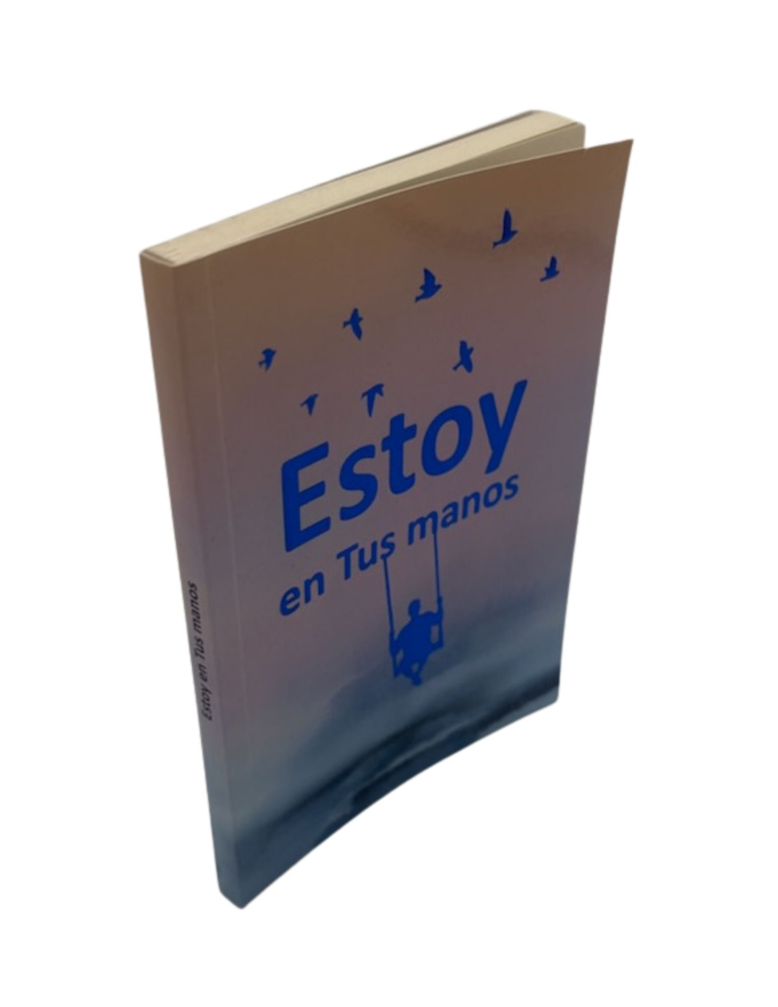 Estoy En Tus Manos R.S. Arush -I'm In Your Hands-Booklet (BKS-EETM)