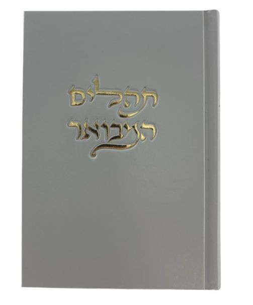 תהלים המבואר ויברך דוד (BK-THVD)
