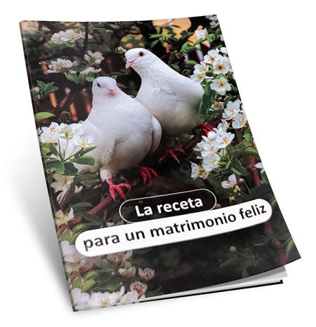 La receta para un matrimonio feliz by Rabbi Shalom Arush (Pamphlet) (BKS-LRPUMF)