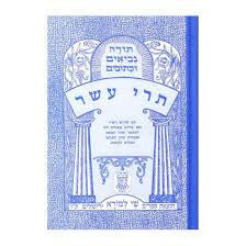 תנ"ך עם פירוש מצודות שי למורא תרי עשר (BK-NSLTA)