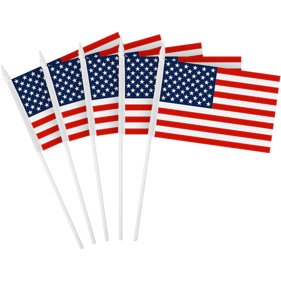Plastic American Flag 6"x9" on 12" Stick 10 Pack (US-FLP6)