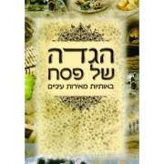 הגדה של פסח באותיות גדולות H/C  8"x11.5" (BK-HSPOGXL) E"M