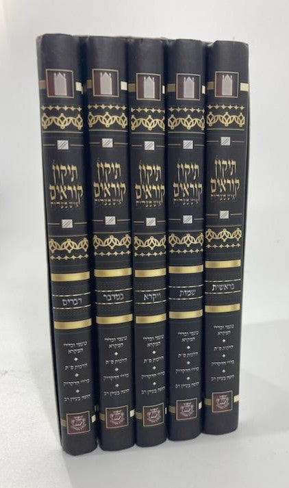תיקון קוראים איש מצליח 5 כרכים (BK-TKIM5) 5" x 7"