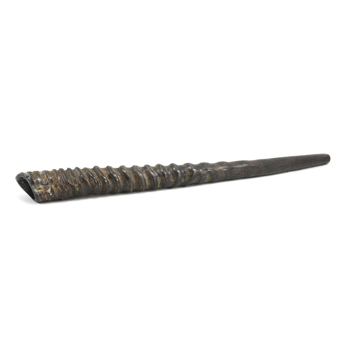 Extra Large Oryx Shofar-29"-30" (SH-ORYX)
