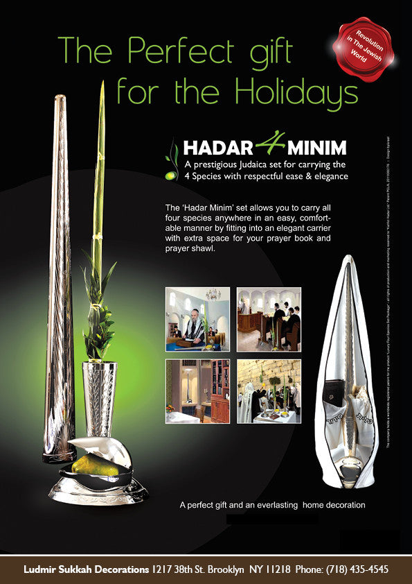Hadar 4 Minim Lulav & Etrog Holder