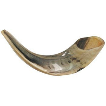 Badatz Shofar (Ram Horn) Select Size (SH-SHB)