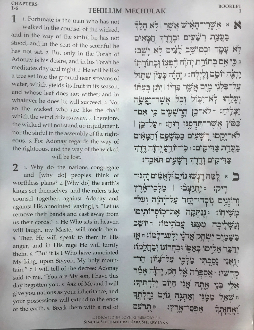 Large 9" x 12" H/E Tehillim Mechulak-- 39 vol.  (BKE-THML)