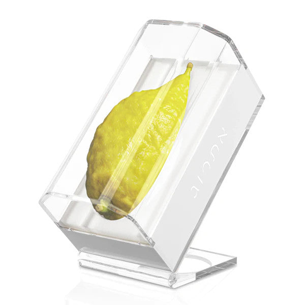 Lucite Esrog Box & Stand (ES-ZESTND)